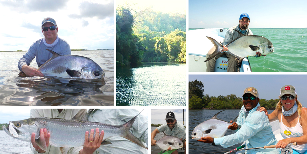 Fly Fishing Collage