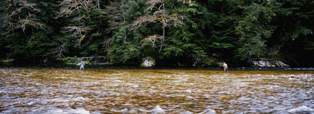 Fly fishing for steelhead