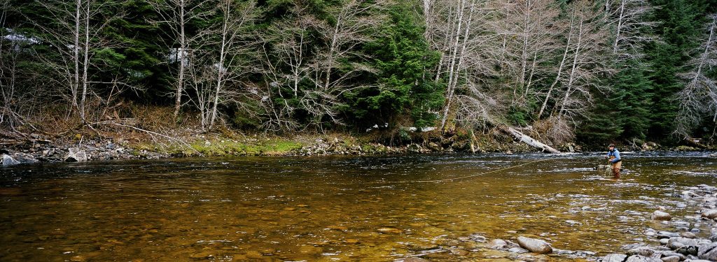 Steelhead fly fishing