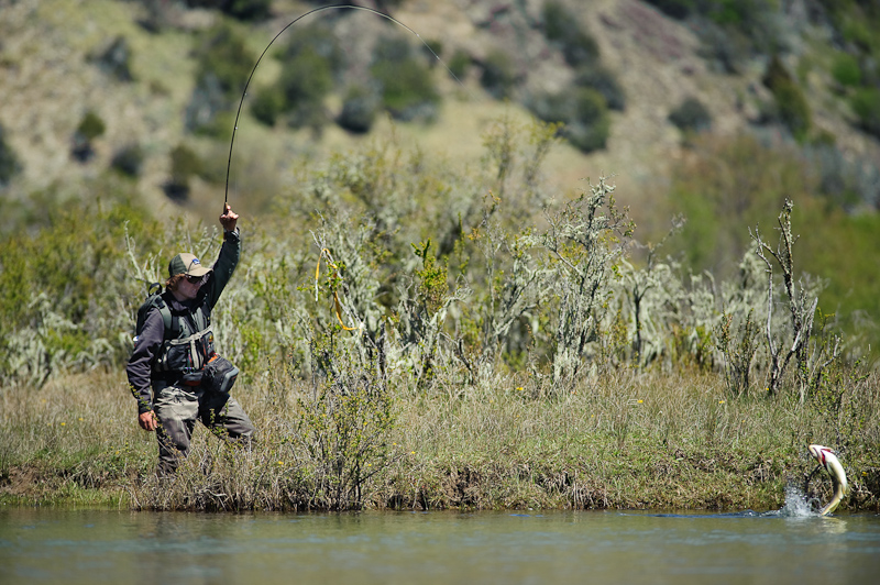 fly fisherman in the brush