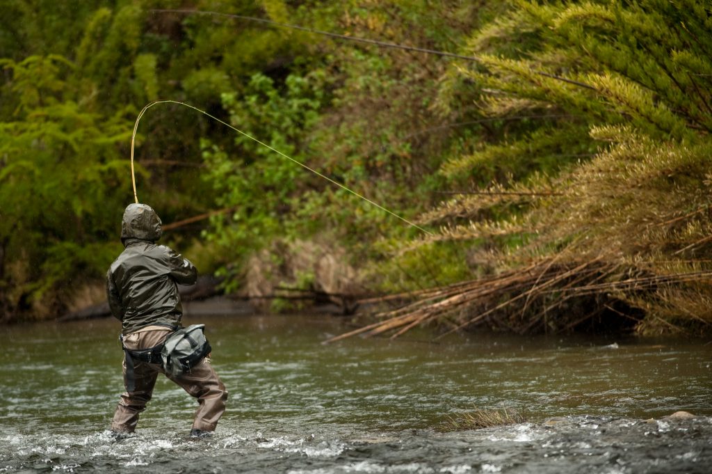 fly fisherman on the bite