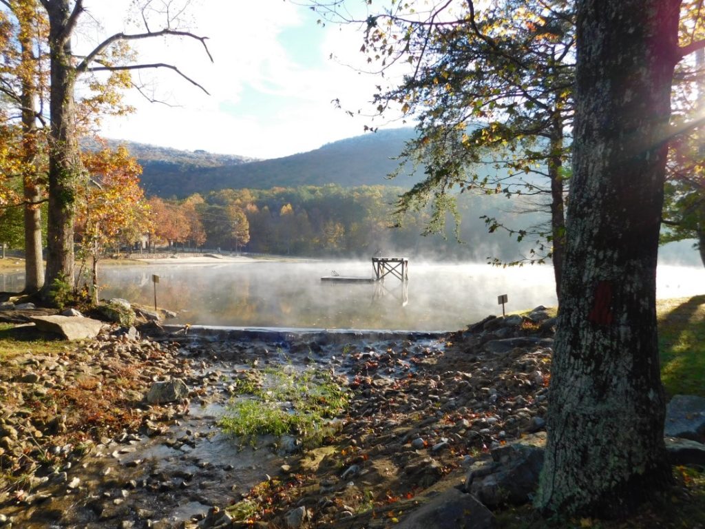 lake in the evening